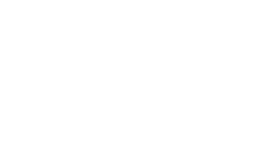 falcons